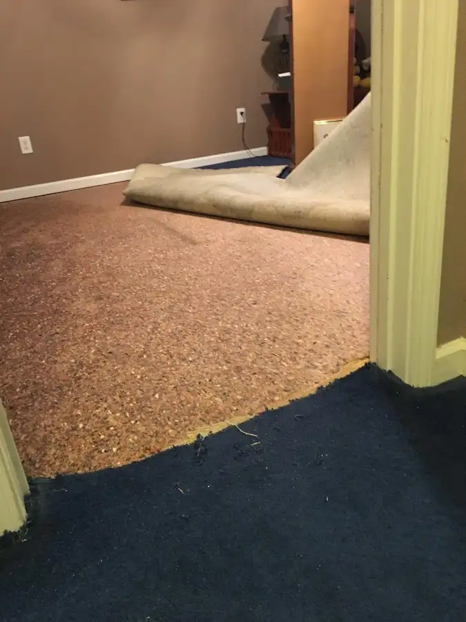 Carpet pad removal revealing water damage during Drying & Dehumidification in Seekonk
