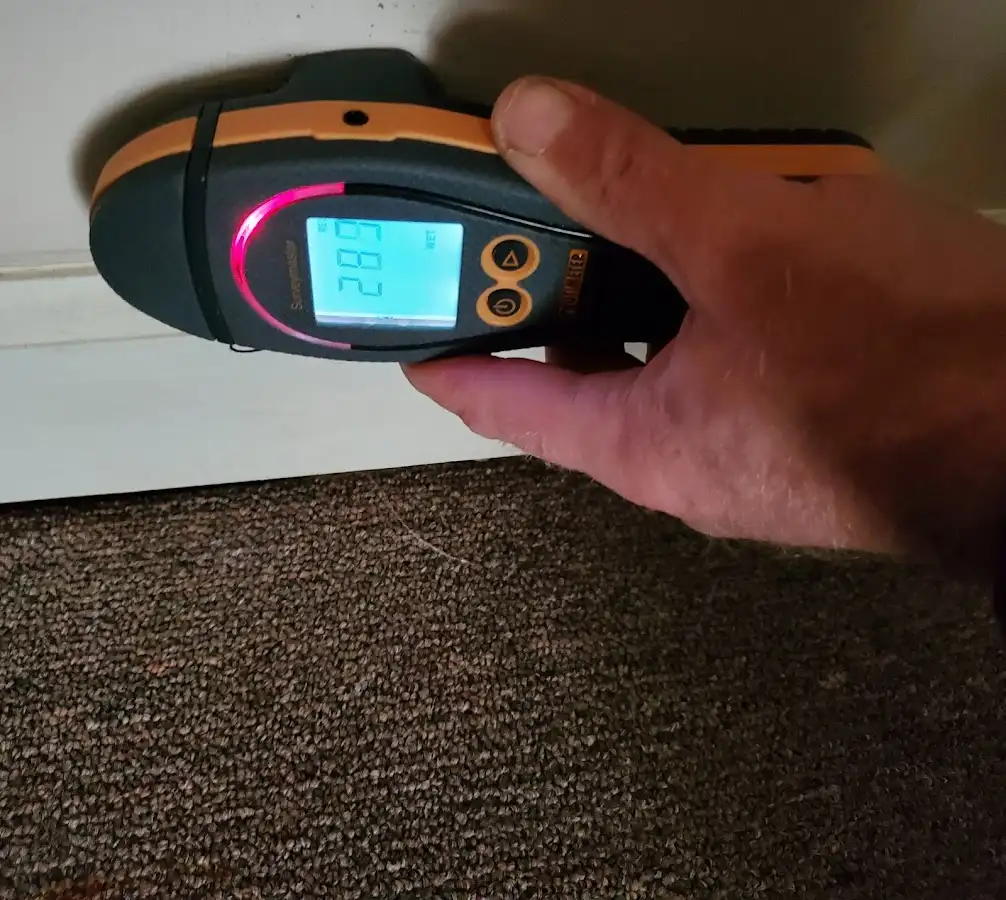 Moisture detection at baseboard during Sewage Cleanup & Sanitation in Seekonk
